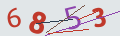verifycode